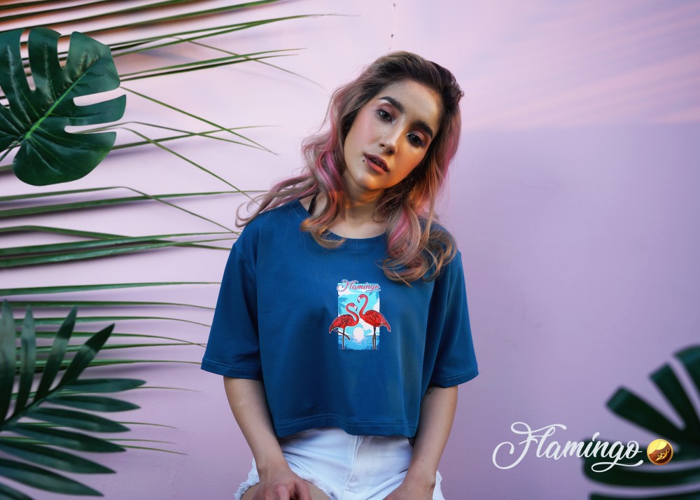 Flamingos Crop Top 